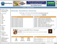 Tablet Screenshot of progmatique.fr